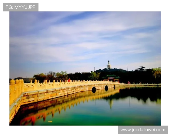 楂樹綉鎬濅笌缃椾簹鐟熺洿鍑昏嫃瓒咃細鍗楅€氳冻鐞冪殑璺ㄦ枃鍖栫儹鍔涘満