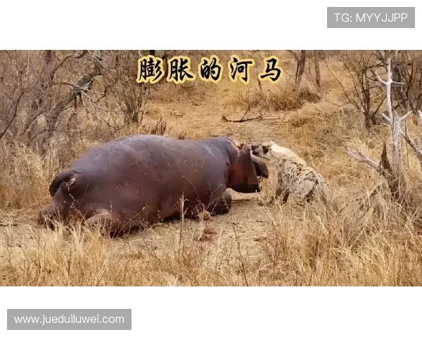 鍑笗鍛婂埆鍒囧皵瑗匡細钃濆啗闂ㄧ杞姇闃挎.绾筹紝涓冭浇绾㈣摑宀佹湀閾稿氨浼犲 鍑笗鍛婂埆鍒囧皵瑗匡細钃濆啗闂ㄧ杞姇闃挎.绾筹紝涓冭浇绾㈣摑宀佹湀閾稿氨浼犲