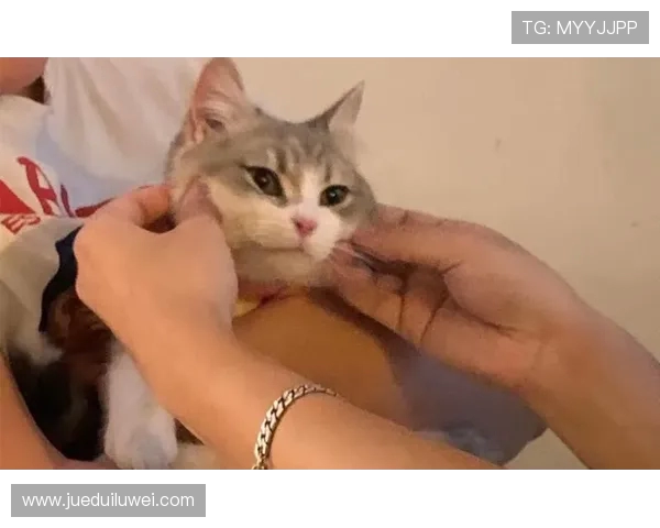 杩滆棨鑸彂璧枫€孲EKAI NI WATARU PROJECT銆嶏細7-12 宀佸鐢熷厤璐硅荡娴峰鐣欏涓€涓湀